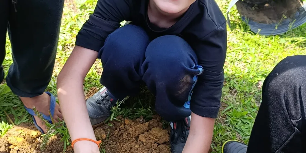 A atividade final da turma foi a realização do plantio de mudas nativas