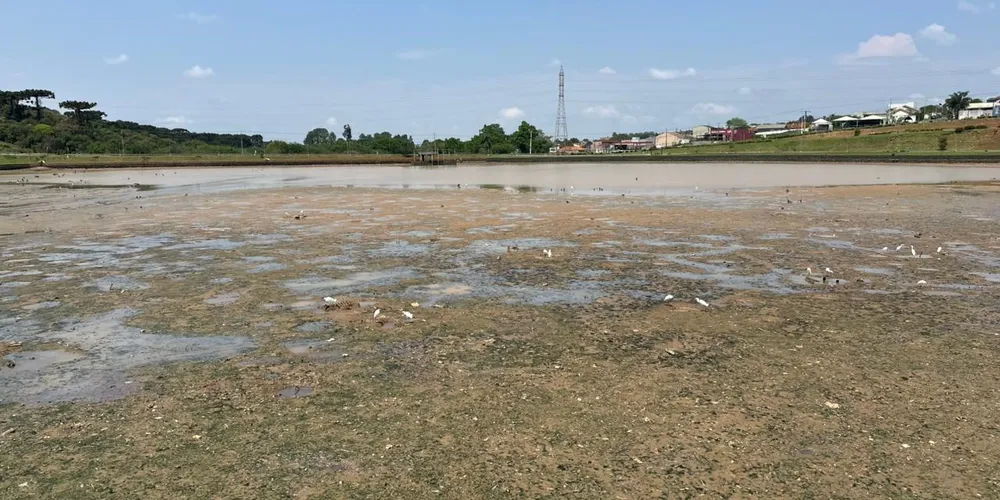 Rebaixamento do nível de água faz parte da primeira etapa do projeto
