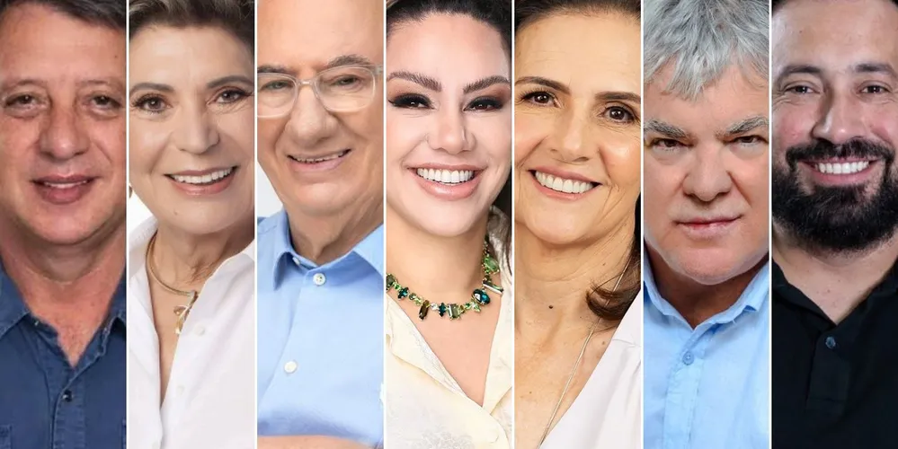 Gerson Nunes, Elizabeth Schmidt, Reinaldo Cardoso, Dayane Sovinski, Rita Araújo, Altamir Sanson e Henrique Carneiro serão reconhecidos