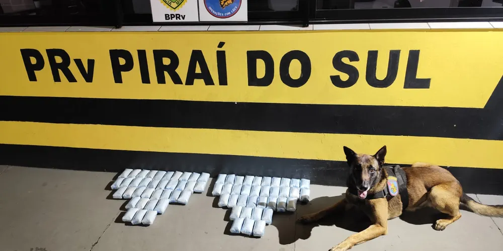 Máximus ajudou a apreender estas drogas