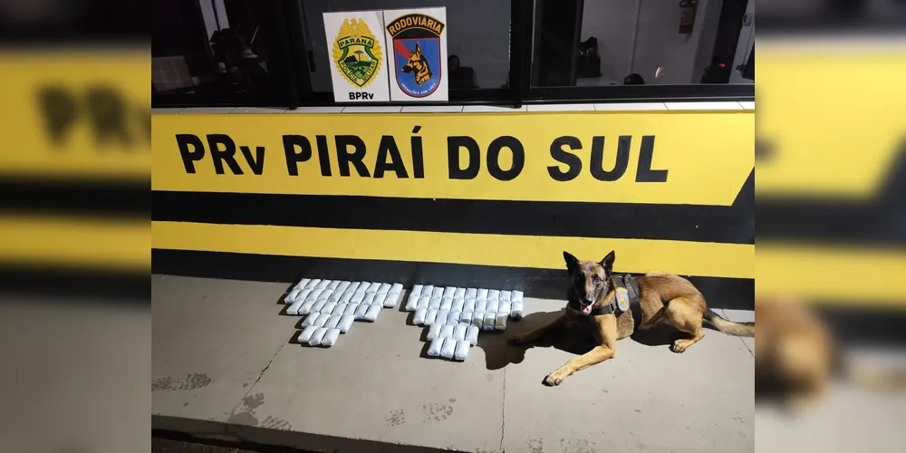 Máximus ajudou a apreender estas drogas