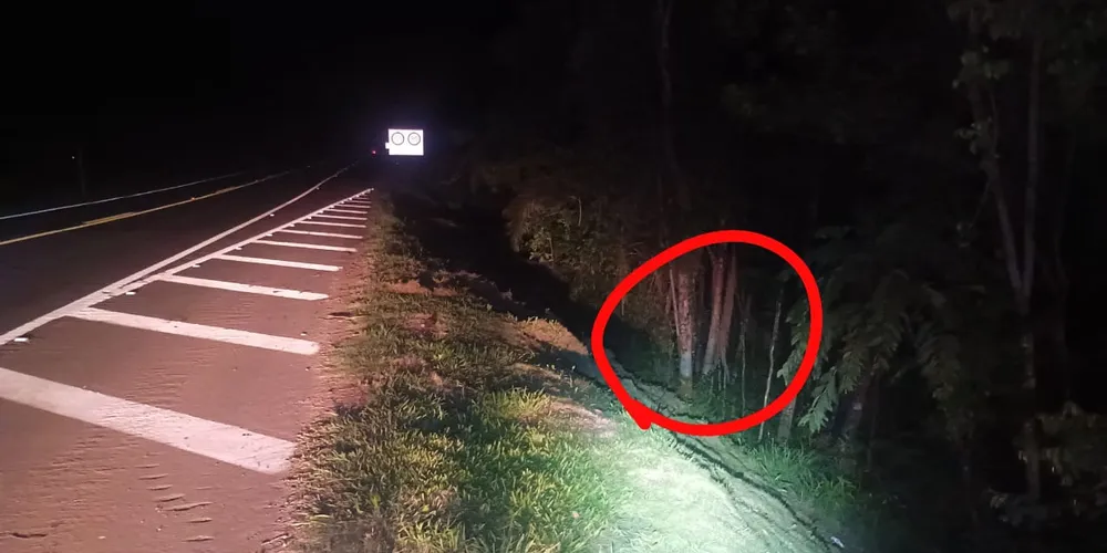 Motociclista teria saído de pista e colidido contra uma árvore