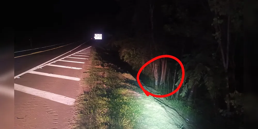 Motociclista teria saído de pista e colidido contra uma árvore