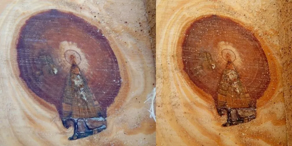 Imagem de Nossa Senhora Aparecida em tronco de árvore cortado em Vargem Bonita