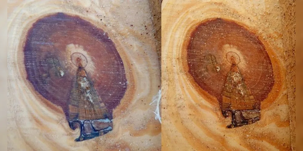 Imagem de Nossa Senhora Aparecida em tronco de árvore cortado em Vargem Bonita