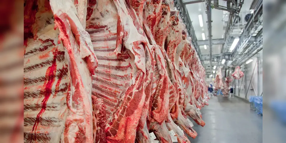 Carne bovina em refrigeração
