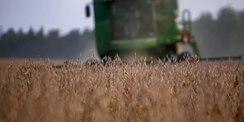 A produção está estimada em 177,6 milhões de toneladas