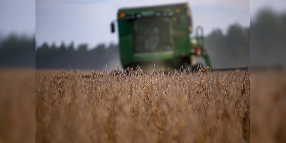 A produção está estimada em 177,6 milhões de toneladas