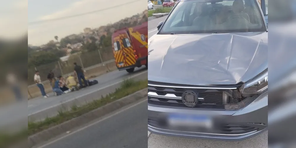 motorista permaneceu no local e acionou o socorro. O homem contou que até tentou desviar, mas não conseguiu