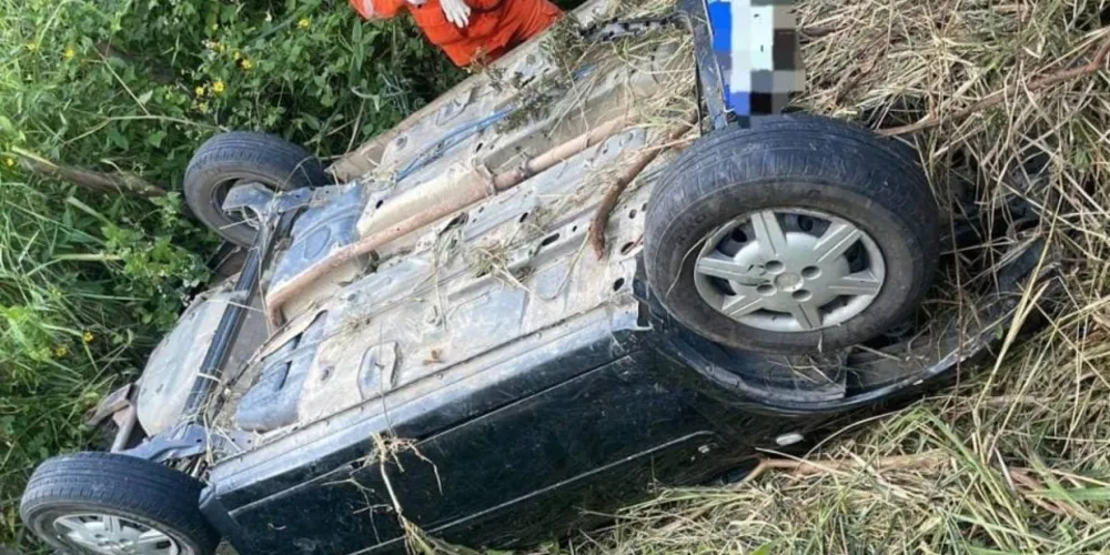 A suspeita inicial é de que o motorista tenha colidido contra um cavalo, perdido o controle da direção e saído da pista