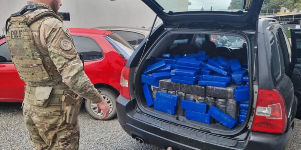 Droga apreendida pela polícia