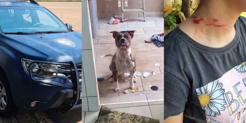 A vítima apresentava sangramento no pescoço após o ataque do irmão