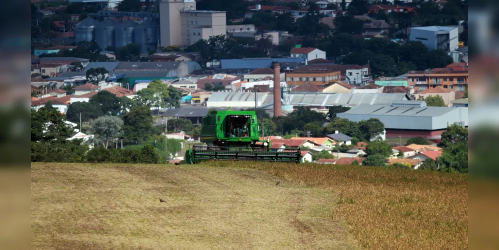 Paraná tem terceira maior alta do País na previsão da safra de setembro, aponta IBGE