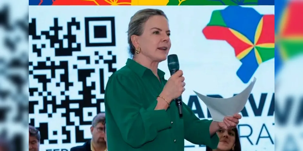 A fala da ministra foi dita em reunião nesta segunda-feira (8)