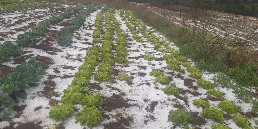 Uma forte chuva de granizo atingiu o município de Castro