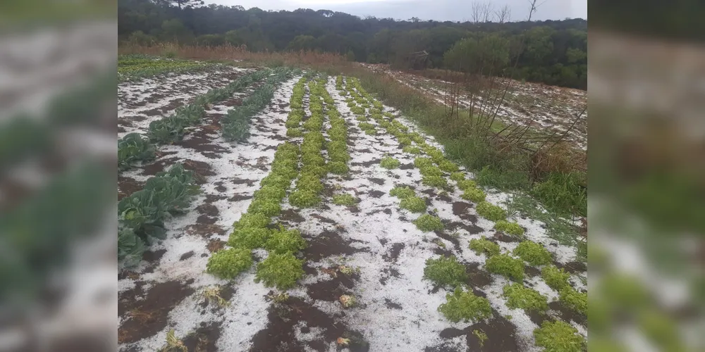 Uma forte chuva de granizo atingiu o município de Castro