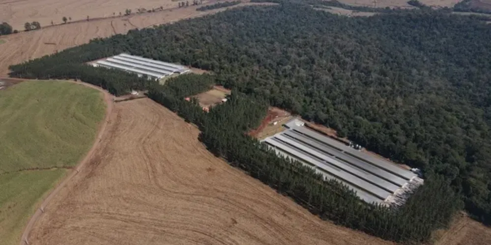 A nova estrutura consolida a presença da companhia no setor e reforça sua capacidade de abastecimento interno