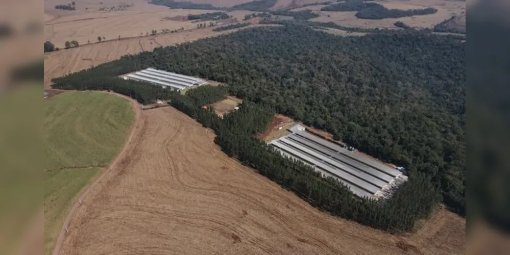 A nova estrutura consolida a presença da companhia no setor e reforça sua capacidade de abastecimento interno