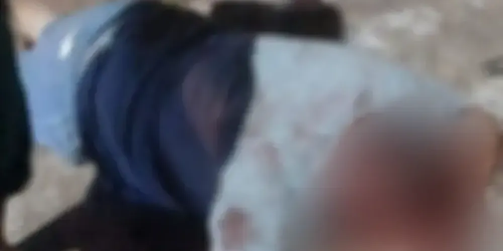 Vizinhos afirmaram que os cães possuem histórico de ataques