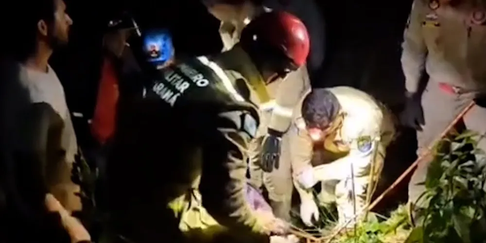 O caso aconteceu na área rural de Rio Branco do Sul