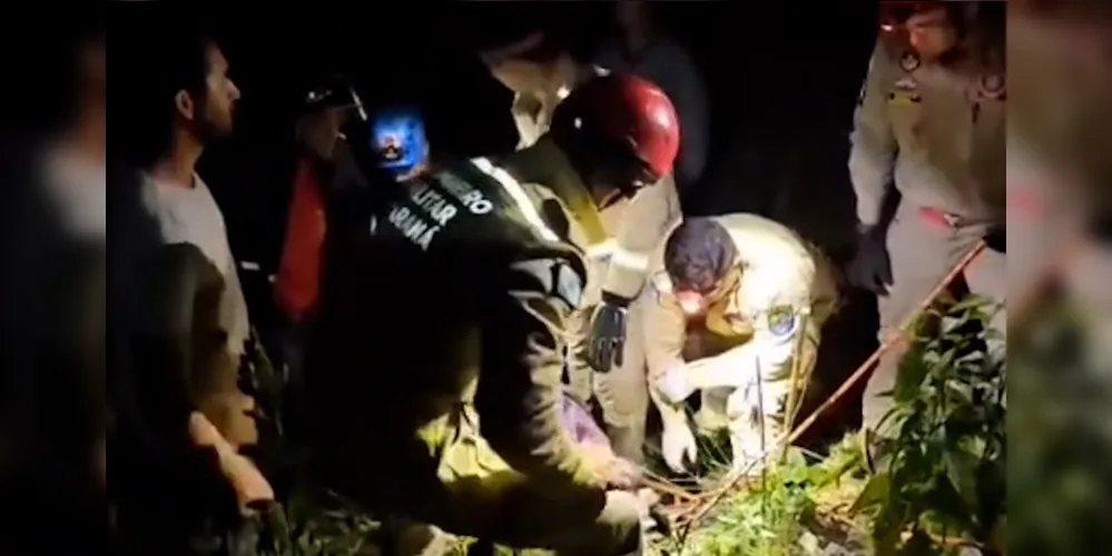 O caso aconteceu na área rural de Rio Branco do Sul
