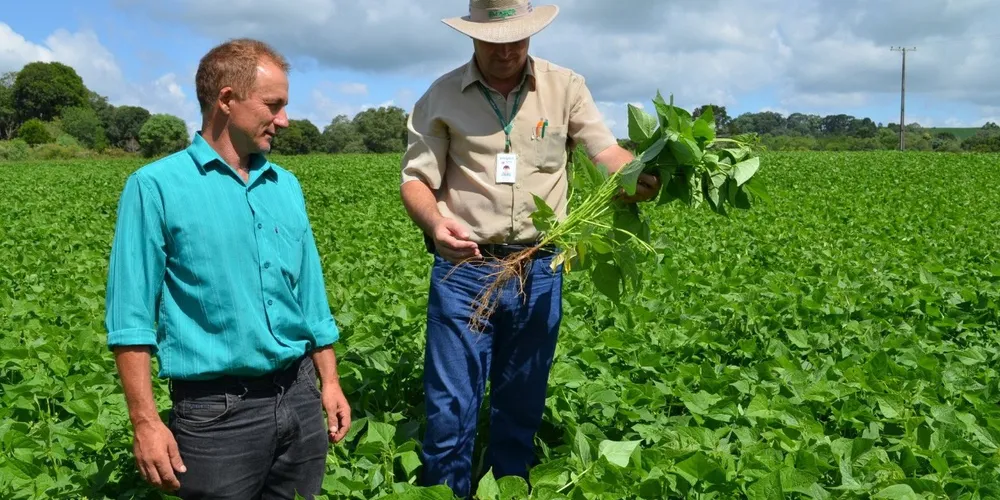 IDR-Paraná lança processo seletivo para contratar 173 profissionais no Estado