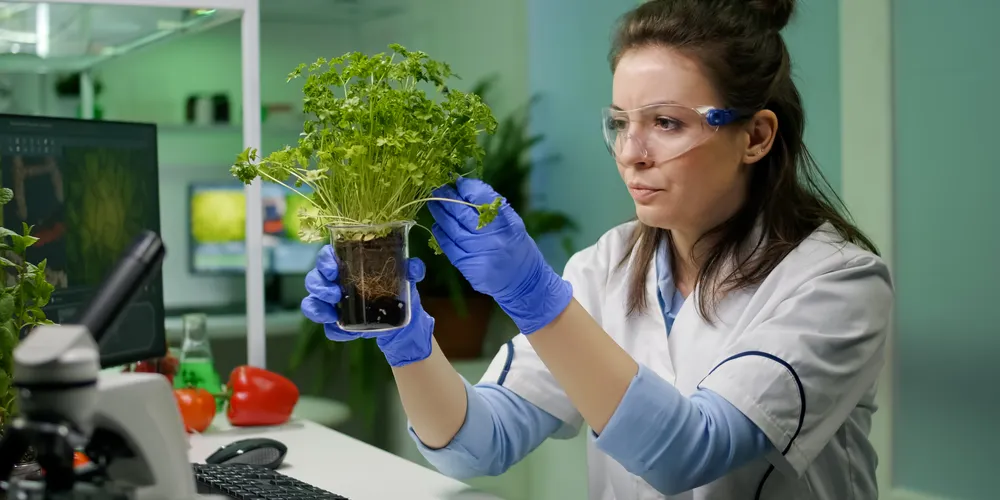 Vaga para pesquisador em biologia vegetal é uma das disponíveis nesta quarta-feira (8)