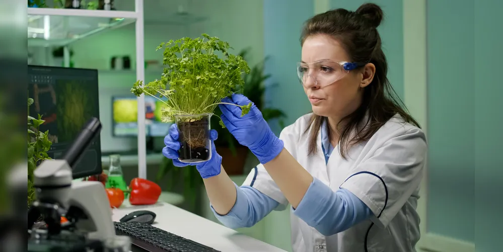 Vaga para pesquisador em biologia vegetal é uma das disponíveis nesta quarta-feira (8)