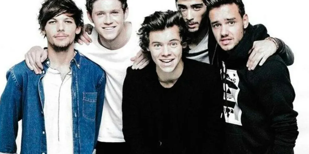 A princípio, os demais ex-membros da banda, Nyall Horan e Harry Styles, não estarão na série