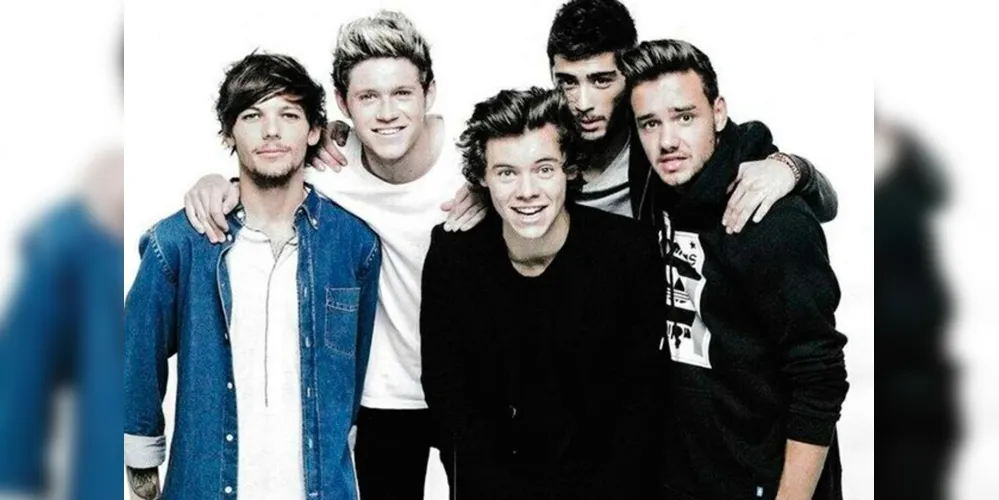 A princípio, os demais ex-membros da banda, Nyall Horan e Harry Styles, não estarão na série