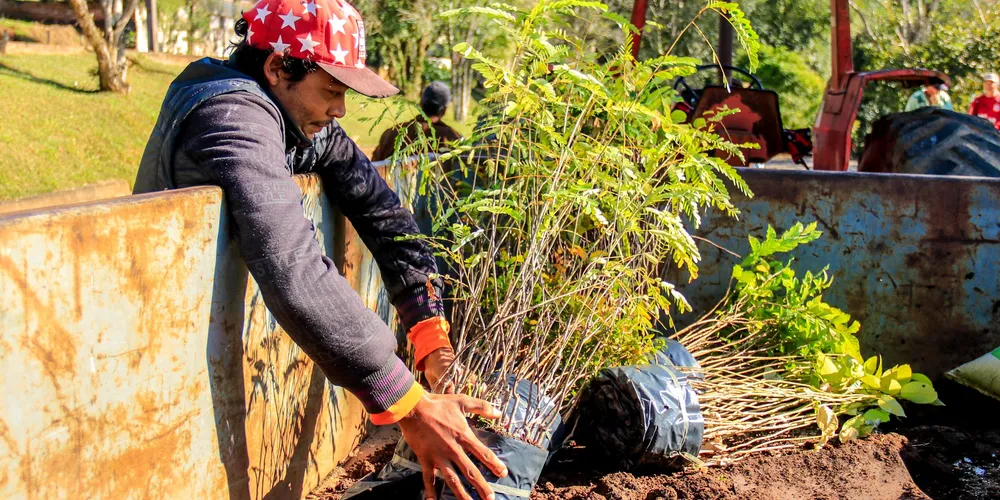 Ação acontece neste sábado (18), no Loteamento Viverti, a partir das 8h
