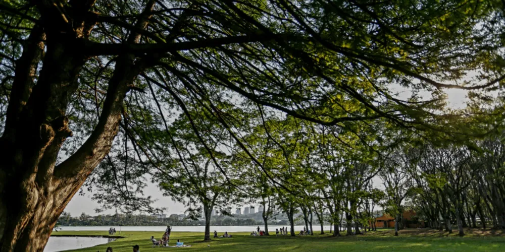 Setembro é marcado pelo retorno das chuvas ao Paraná