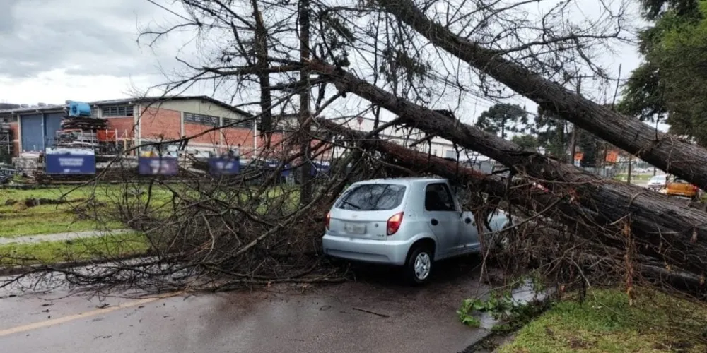 Árvore caiu sobre automóvel após tempestade