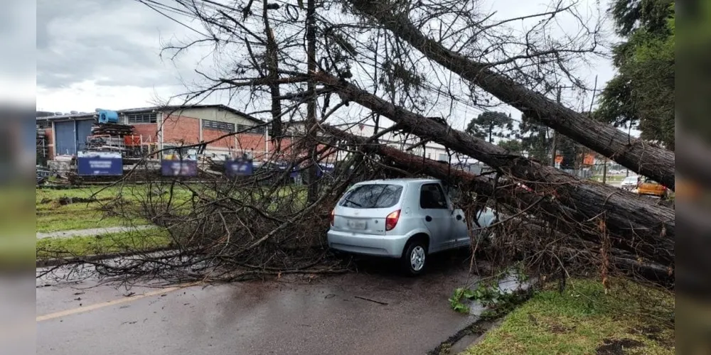 Árvore caiu sobre automóvel após tempestade