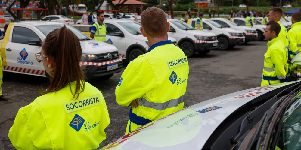 Ao todo, cerca de 70 profissionais irão participar da ação