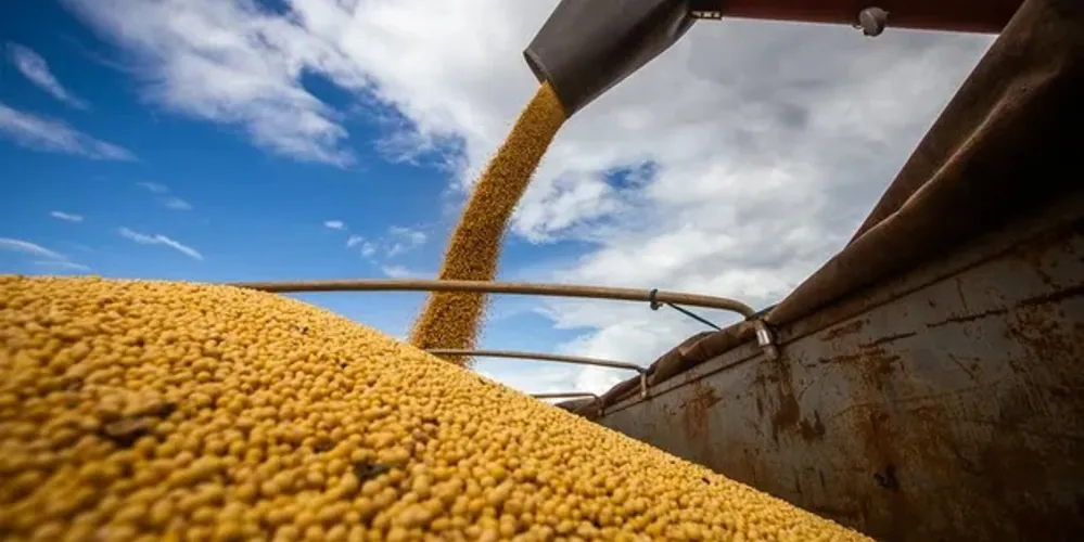 Só milho, soja, arroz e algodão respondem por cerca de 47 milhões de toneladas desse avanço