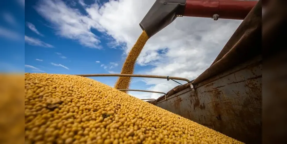 Só milho, soja, arroz e algodão respondem por cerca de 47 milhões de toneladas desse avanço