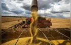 PR amplia produtividade por hectare e chega a 44 mi de toneladas de grãos na safra 24/25