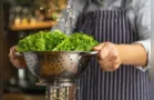 Aprenda truques para manter a alface fresca e verdinha por mais tempo