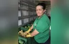 Feira Verde estará no Jardim Maracanã e mais 14 vilas; veja sua rua