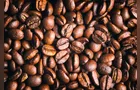 Em apenas uma semana, preço do café cai 11% no mercado brasileiro