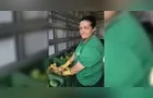 Feira Verde estará no 'Shangrilá' e mais 12 vilas hoje; veja o horário