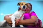 Veja como se cadastrar em programa de castração gratuito em PG