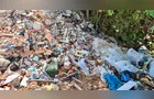 PM Ambiental constata descarte irregular de resíduos em Palmeira