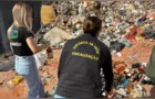 Castro apreende cerca de 200 garrafas de bebida alcoólica adulterada