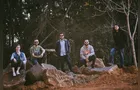 Palmeira recebe show Latitudes Latinas nesta sexta-feira