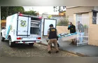 Idoso em avançado estado de decomposição é localizado em PG