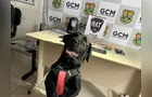 Mulher assume esconder maconha, mas equipe encontra crack em residência em PG