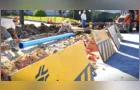 Sanepar reorganiza rede para construção de novo trecho rodoviário em PG