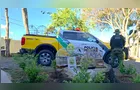 Polícia Ambiental apreende nove pássaros mantidos em cativeiro em Guarapuava